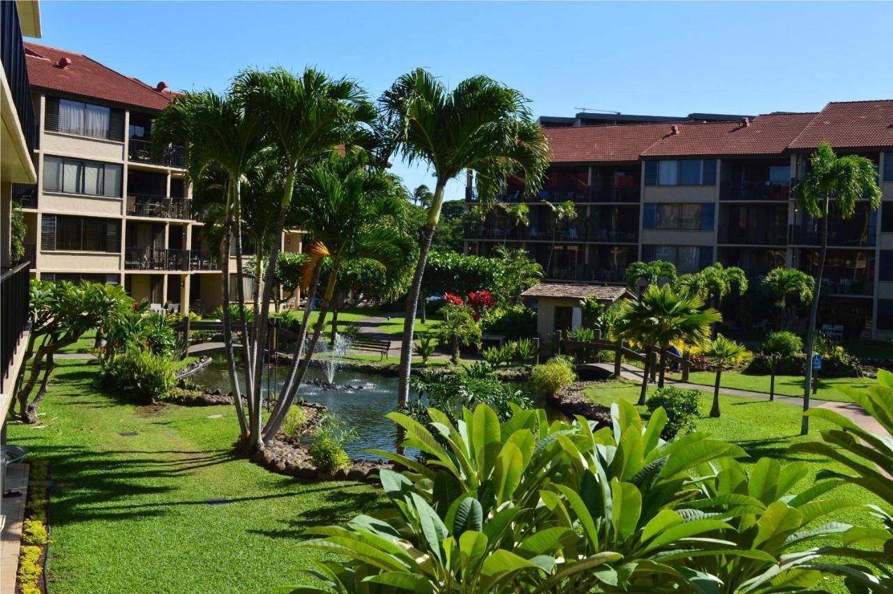 Papakea Resort G406 ลาไฮนา ภายนอก รูปภาพ