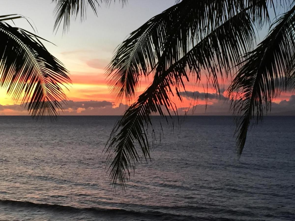 Papakea Resort G406 ลาไฮนา ภายนอก รูปภาพ